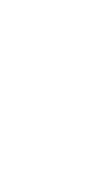 Left laurel leaves